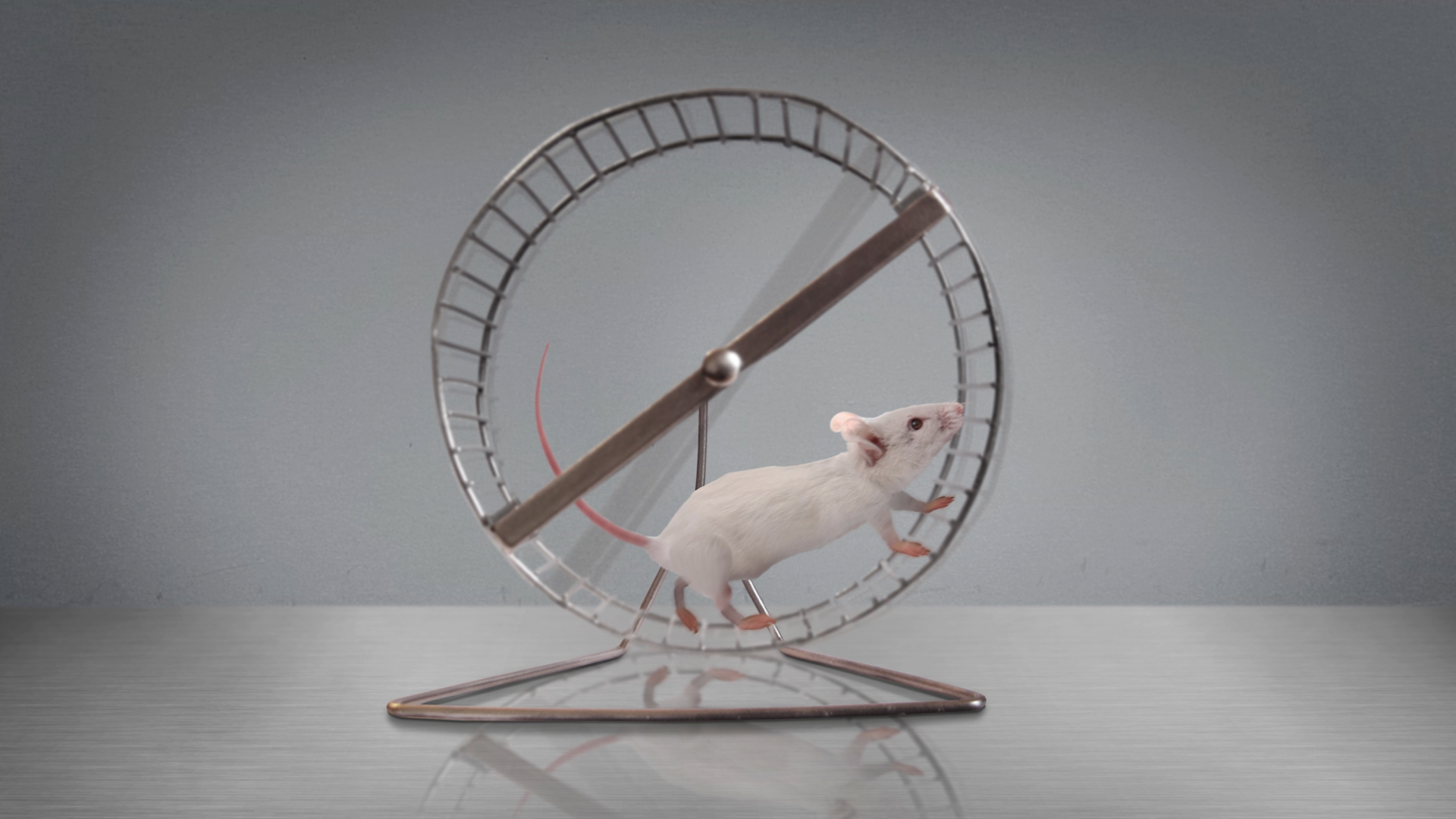Combating the never-ending demand for creative content.